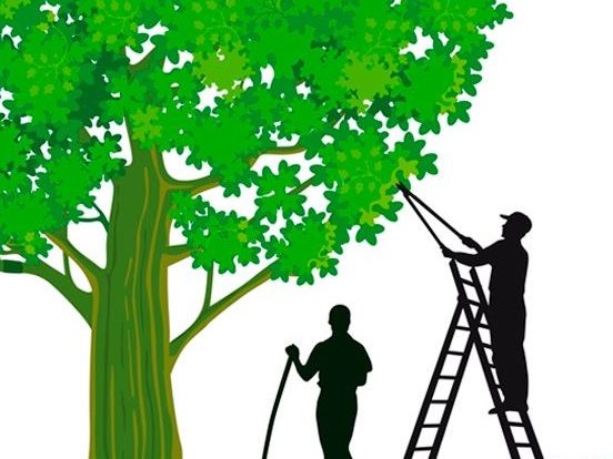 {{brizy_dc_image_alt entityId=